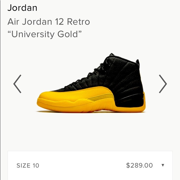 Jordan 12